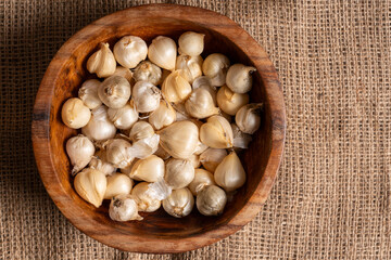 Allium Spaerocephalon, crimson maroon, bulbs in wooden bowl. Top view.