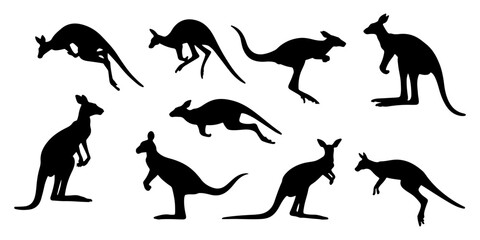Kangaroo Silhouette Vector Illustration