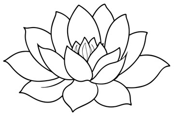 Minimalist Nature Bloom Line Art Vector