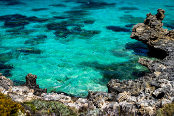 Rottnest Island Adventure: A Journey to Australia’s Coastal Gem