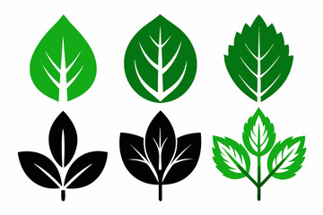 Green leaf icons set. Fill Leaves icon isolated background. Collection of green leaf,Green leaf ecology nature element vector logo, Leaf Icon, green leaf vector.