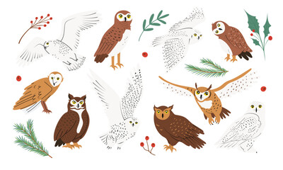 Big set with different cute owls in flat design. Night birds of prey collection. Hand drawn isolated on white vector illustrations