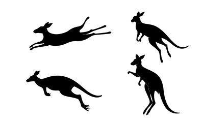 Kangaroo Silhouette Vector Illustration