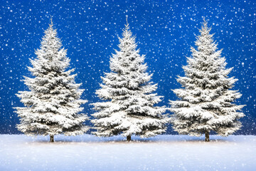 Fototapeta premium Three snow-covered fir trees stand majestically against a vibrant blue winter sky, softly falling snowflakes adding to the serene winter wonderland scene.