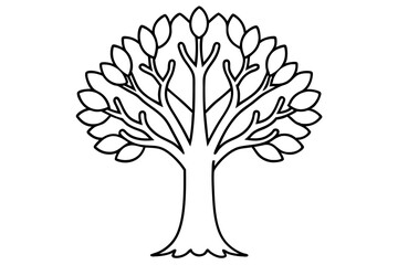 Minimalist Tree of Life Line Art Vector