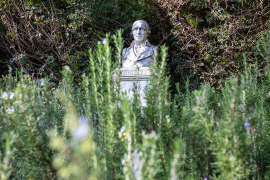 busto