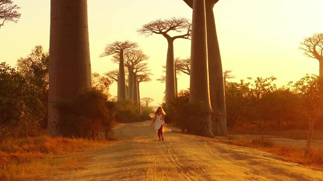 Blonde woman in a flowing white dress strolls along a dirt path bordered by majestic baobab trees in Madagascar. A warm sunset bathes the landscape in golden light