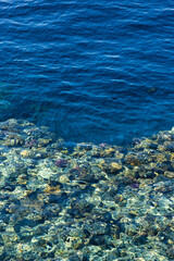 Obraz premium Red Sea Surface. Marine Background. Copy Space