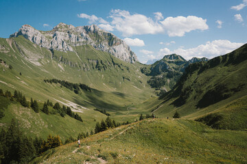 French Alps