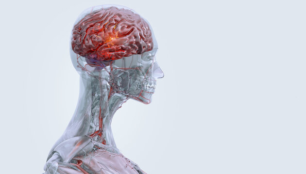 Brain disorders, neurological degenerative diseases. Parkinson's, Alzheimer's, dementia, autism, epilepsy, sclerosis. Mental health, psychology 3D: stress, migraine, depression, anxiety, bipolar