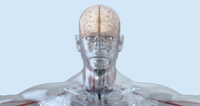 Brain disorders, neurological degenerative diseases. Parkinson's, Alzheimer's, dementia, autism, epilepsy, sclerosis. Mental health, psychology 3D: stress, migraine, depression, anxiety, bipolar