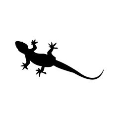 minimalist black and white lizard design