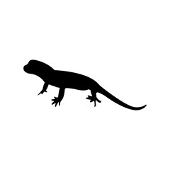 Fototapeta premium minimalist black and white lizard design