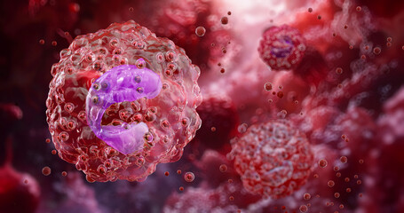 Eosinophil cell with bilobed nucleus and granules. Immune response, allergies, asthma, inflammation, defense against parasites. Hematology, immunology science. Medical white blood cell 3D illustration