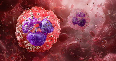 Neutrophils in the bloodstream, phagocytic white blood cell, type of granulocytes and phagocytes, part of innate immunity. Formed from stem cells in the bone marrow. 3D medical scientific illustration