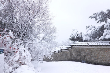 a snowy path with a brick wall and trees covered in snow. 