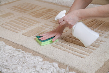 Close up of Woman Hands Cleaning Stain on Carpet. Cleaning Removing Old Stains from Carpet. Mock-up Plastic Spray Bottle for Chemical and Cleaning Solutions