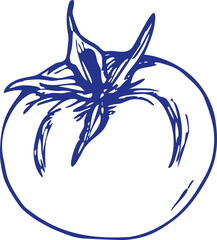 Tomato illustration