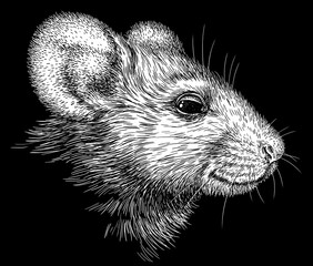 Vintage engraving isolated mouse set illustration mice ink sketch. Rat background rodent silhouette hamster art. Black and white hand drawn image