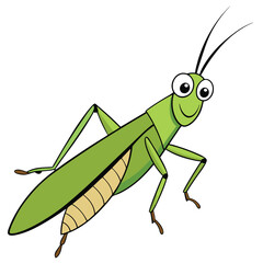 Cute grasshopper cartoon illustration. Green locust isolated on a white background