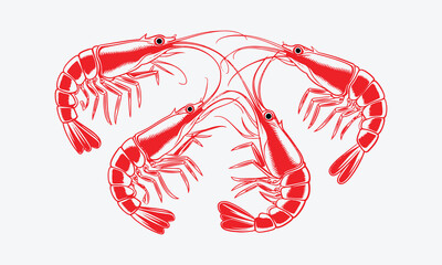 A set of four colorful shrimp vector illustrations, a set of Shrimp Silhouette vector icon Seafood logo, easily editable.