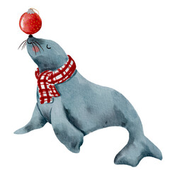 Obraz premium Seal with scarf