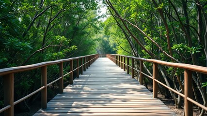 Obraz premium Mangrove Forest Wooden Walkway - Vibrant National Park Scene