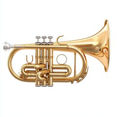 Brass cornet illustration showcasing a detailed front view, isolated on a white background for graphic applications.
