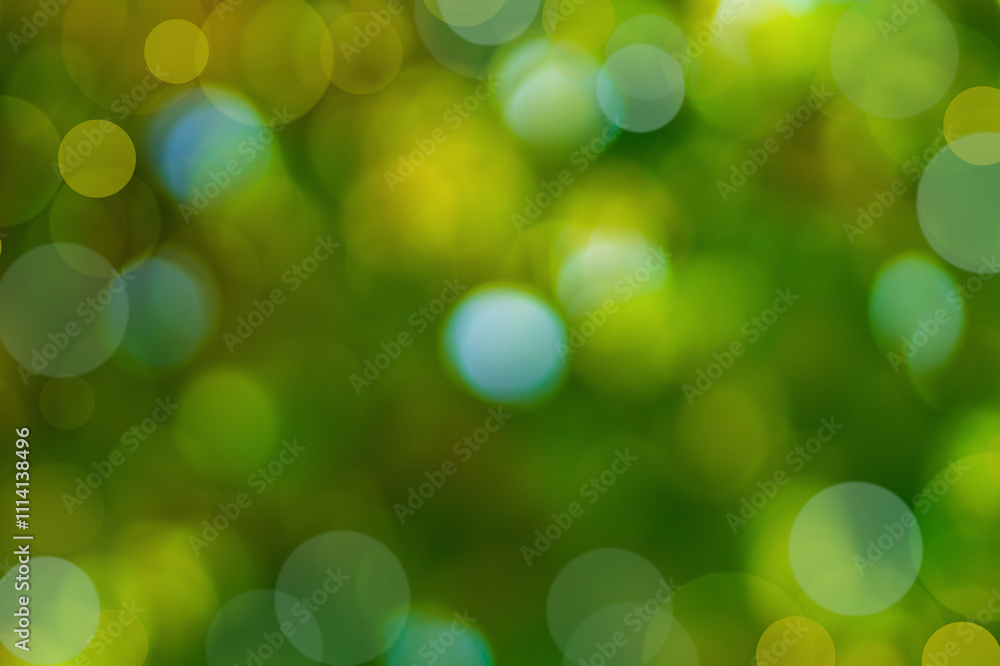 Wall mural blurred natural green background of tree foliage with round large blurred points of light in blue, y
