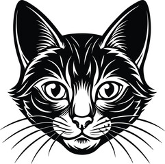 Obraz premium Vector of a cat face on white background