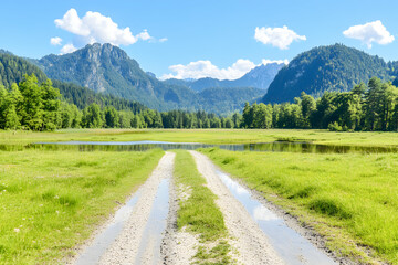 Naklejka premium Serene landscape photo of a gravel road leading through a lush green meadow towards majestic mountains under a bright blue sky.