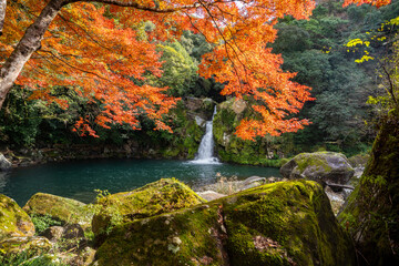 観音滝の紅葉の風景（さつま町）