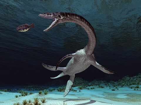 Plesiosaurus auf der Jagd
