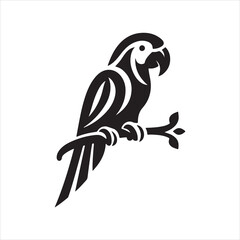 illustration of a parrot