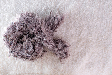 Close-up shot of gray fur. This image is ideal for website backgrounds, social media posts, and marketing materials.