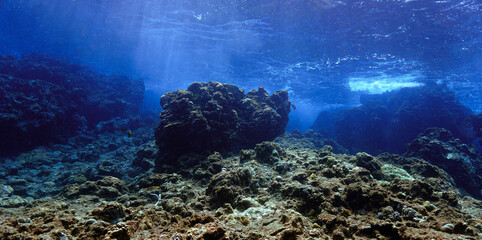 Underwater photo of rays of sunlight in blue colors coming through the surface over a reef.