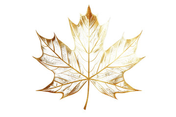 maple leaf in golden line art isolated