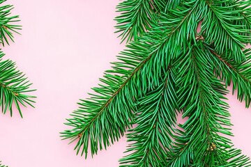 Obraz premium Flat lay composition with Christmas decorations on pink background , isolated on white background, , copy space, copy space for text,