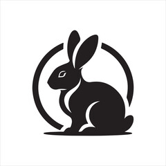 black and white rabbit