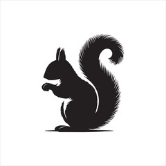 black and white squirrel