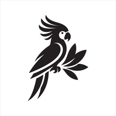 bird of paradise