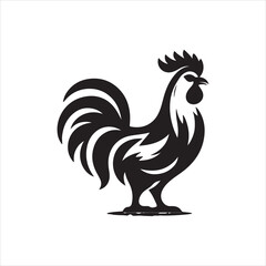 rooster isolated on white background