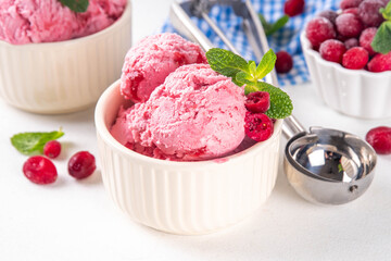 Homemade cranberry ice cream, creamy winter berry gelato with fresh cranberry and mint sprig in ceramic bowl