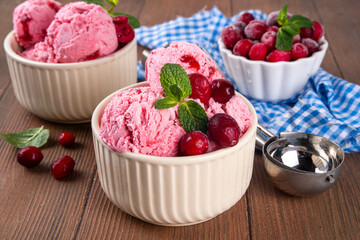 Homemade cranberry ice cream, creamy winter berry gelato with fresh cranberry and mint sprig in ceramic bowl