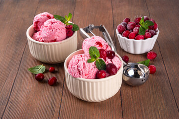 Homemade cranberry ice cream, creamy winter berry gelato with fresh cranberry and mint sprig in ceramic bowl