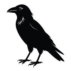 Abstract Raven Bird Silhouette Vector Illustration Design