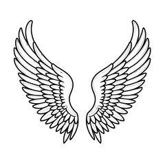 Fototapeta premium Vector outline Angel wings on white background
