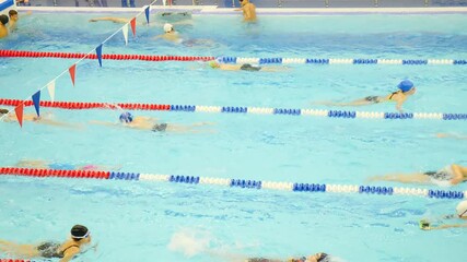 Unrecognizable Athletes are training hard, swimming freestyle in indoor olympic swimming pool. They are improving their skills and performance. Sports in our life. Healyhy lifesyile. 4 k video