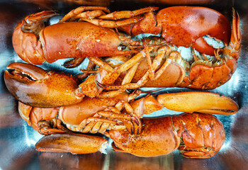 Surf and Turf mit Filetsteak und Hummer