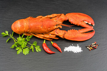 Surf and Turf mit Filetsteak und Hummer